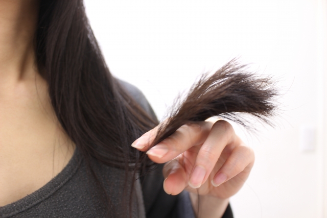 切れ毛&枝毛のヘアケア方法記事のトップ用画像